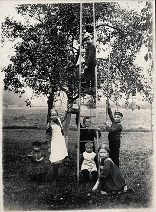 Kinder mit Leiter beim Obstpflücken